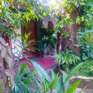  Homestay Gangula Eco Sri Lanka